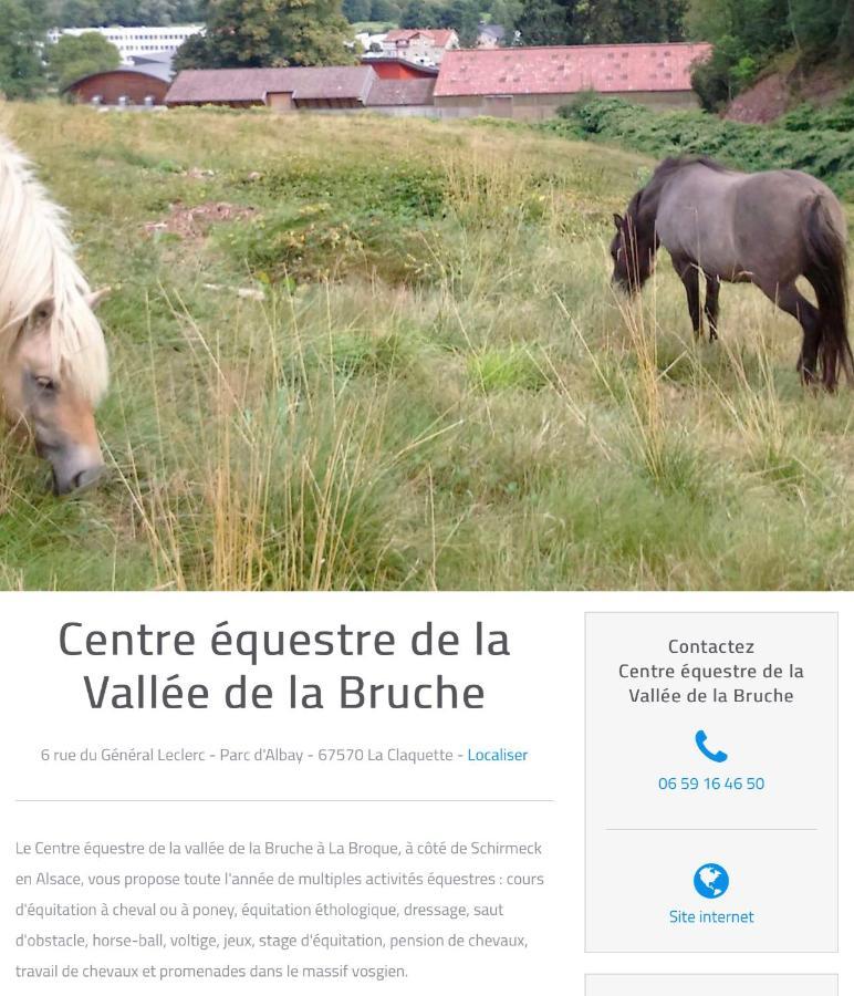 Le Gite Du Chateau Dans Le Centre De Schirmeck Dış mekan fotoğraf
