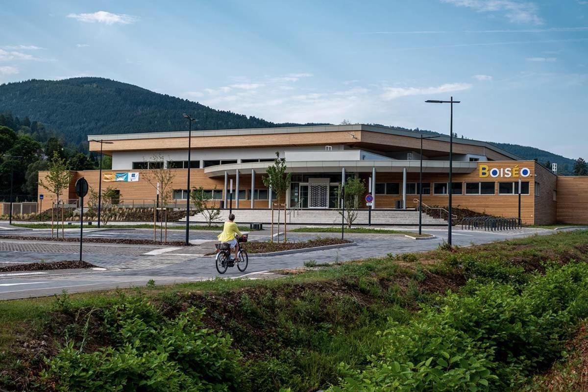 Le Gite Du Chateau Dans Le Centre De Schirmeck Dış mekan fotoğraf